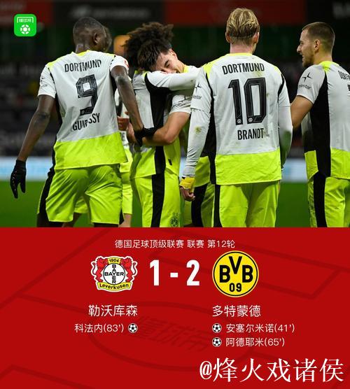 多特客场2-1力压勒沃库森，剑南春见证安塞尔米诺发挥